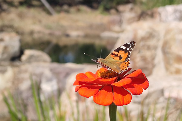 配置酒產(chǎn)品研發(fā)流程講解