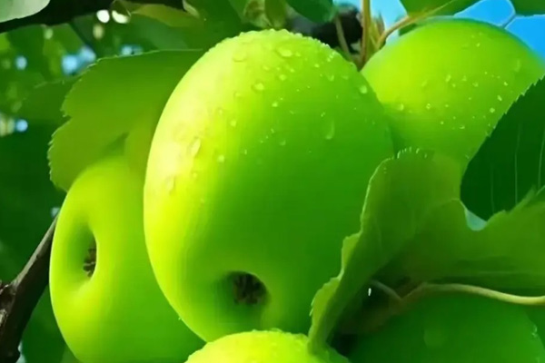 飲料配方研發(fā)技術(shù)中心將介紹一種常用的飲料技術(shù)配方研發(fā)流程