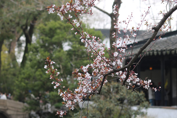 孝感飲料配方研發(fā)機(jī)構(gòu)一站式技術(shù)服務(wù)介紹